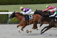 　サンライズフレイム（撮影・石湯恒介）