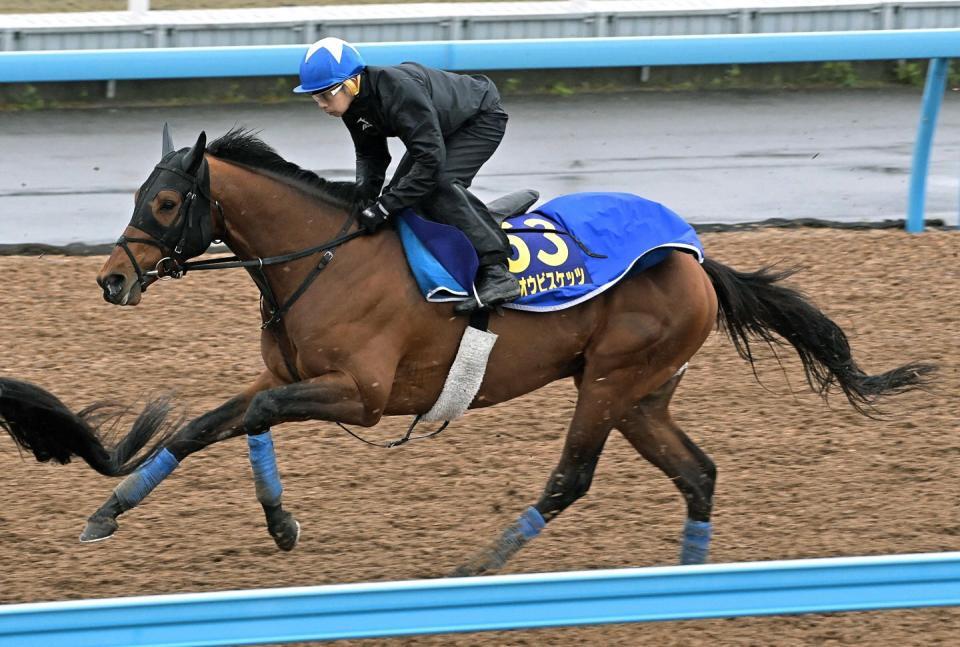 　ホウオウビスケッツ