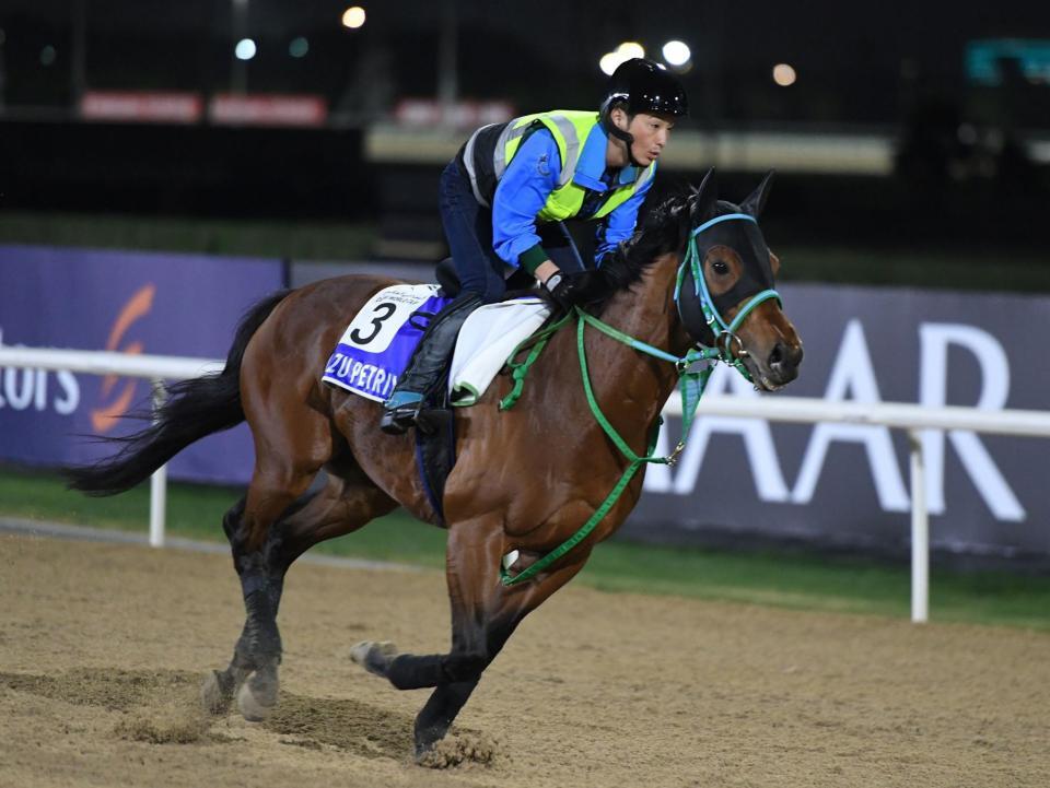 　カズペトシーン