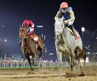 　まさかの３着に敗れたフォーエバーヤング。右は優勝したヒットショー（共同）