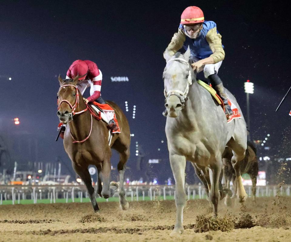 　まさかの３着に敗れたフォーエバーヤング。右は優勝したヒットショー（共同）