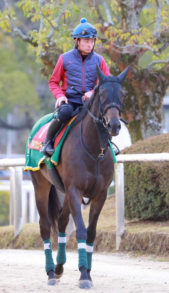 　阪神ＪＦ制覇からぶっつけで臨むアルマヴェローチェ