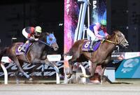 　川崎記念を制したメイショウハリオと浜中（右）