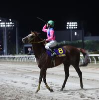 　川崎記念を制し、観衆に鞭を投げ入れる浜中