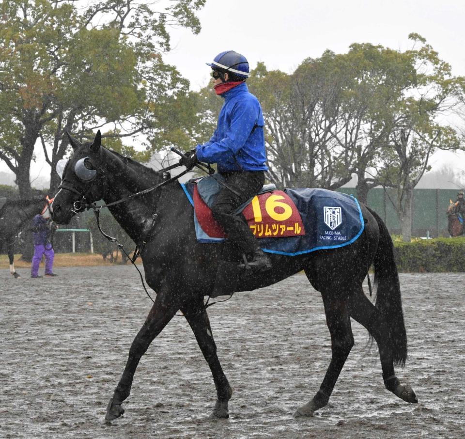 　一戦ごとに成長してきたプリムツァール