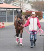 　巻き返しに燃えるビップデイジー（撮影・石井剣太郎）