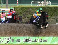 　大竹柵障害を飛越するエコロデュエル（右手前）