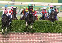 　大生垣障害を飛越するエコロデュエル（中央）