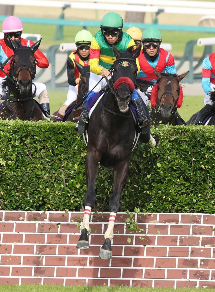 　大生垣障害を飛越するエコロデュエル（手前）