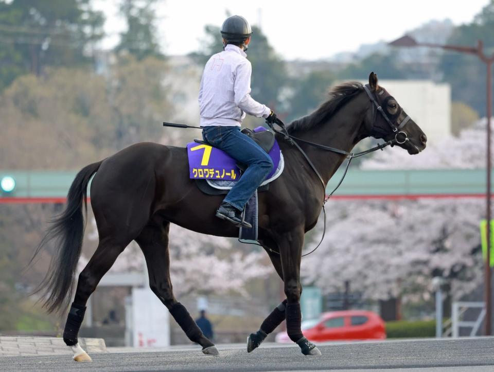 　クロワデュノール