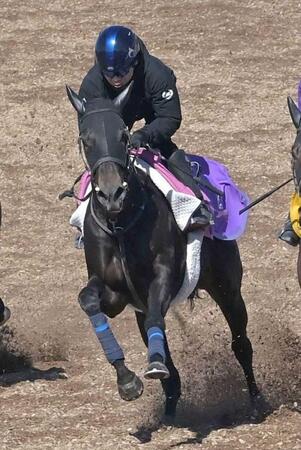 樫切符獲りに燃えるエストゥペンダ