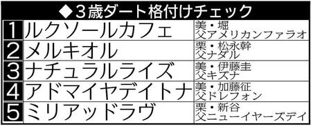 　３歳ダート格付けチェック