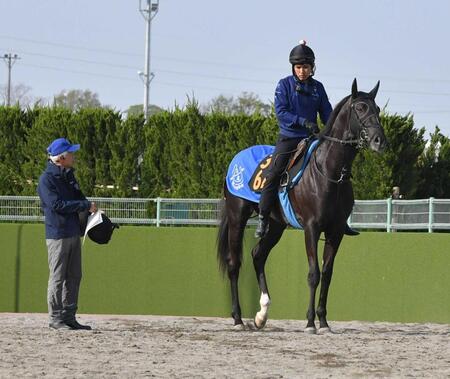 レースに向け調整されるガルダイアと国枝師(左)