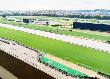 東京競馬場