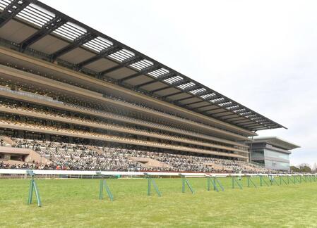 東京競馬場