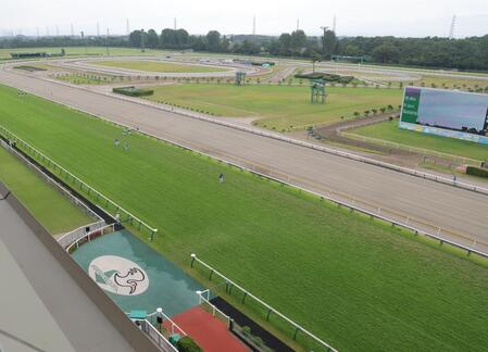 新潟競馬場