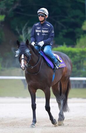 世界最強馬を撃破し、勢いに乗るソウルラッシュ