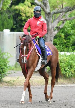 レースに向け調整されるウインマーベル