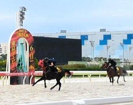併走馬を楽々と突き放したナイトオブファイア(左)=撮影・村上英明
