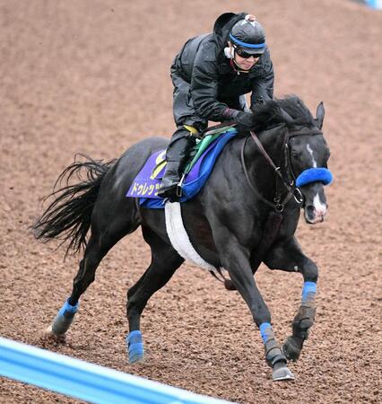 パワフルな動きを披露したドゥレッツァ