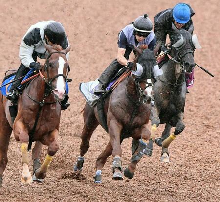 3頭併せで好仕上がりをアピールしたアーバンシック(中央)=撮影・園田高夫
