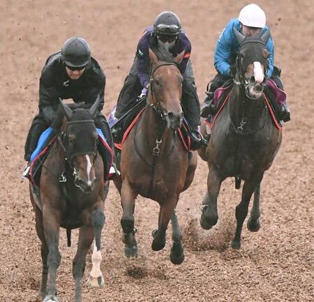 3頭併せで順調な仕上がりを示したレガレイラ(中央)=撮影・園田高夫