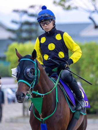 史上最年少グランプリVを目指す高杉とプラダリア