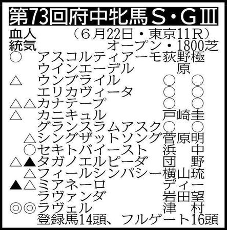※騎手は想定