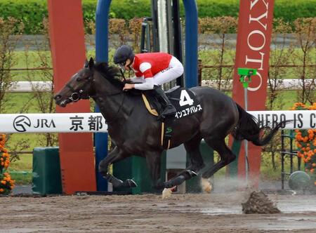 インユアパレス