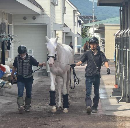 検疫を終えて馬房に向かうマルガ