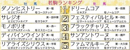 　２５年初となる２歳馬格付けチェック