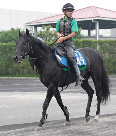 前走Vの勢いのまま重賞制覇を目指すオタルエバー(撮影・中田匡峻)