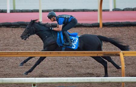 栗東CWを軽快に駆け抜けたディープモンスター(撮影・石湯恒介)