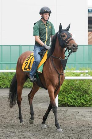 2度目の重賞挑戦となるココナッツブラウン