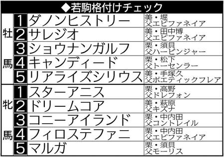 　若駒格付けチェック