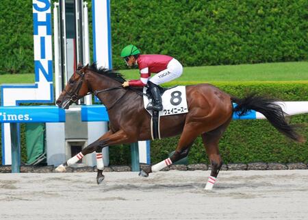 　新馬戦を快勝したウェイニースー（撮影・石湯恒介）