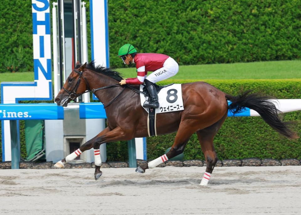 　新馬戦を快勝したウェイニースー（撮影・石湯恒介）