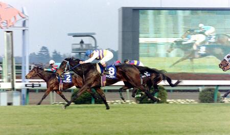 　１９９２年のスプリンターズステークスで１着になったニシノフラワー（手前）と２着のヤマニンゼファー（左）