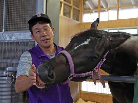　ペアポルックスと梅田智之師（左）＝撮影・中田匡峻