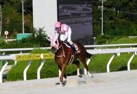 無敗で兵庫３冠を達成したオケマル（撮影・中山伸治）