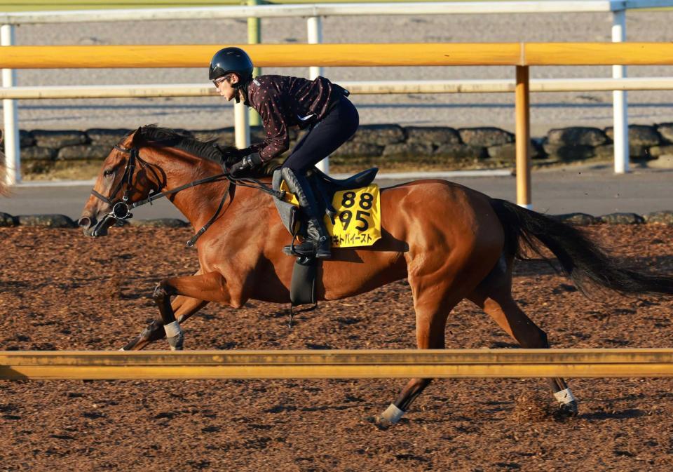 　軽快なフットワークで栗東ＣＷを駆け抜けたセキトバイースト（撮影・石湯恒介）