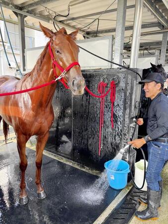 　補充員として厩舎に従事している高杉の祖父・田代さん