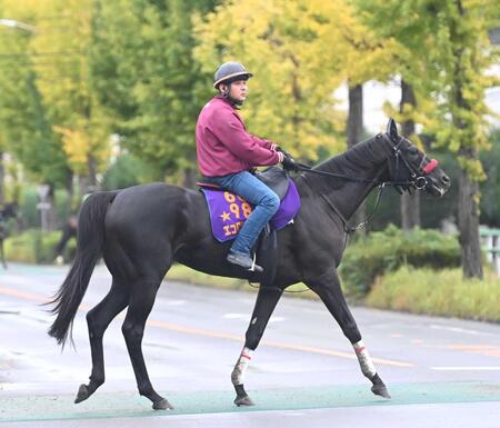 　中山グランドＪ覇者として秋初戦を迎えるエコロデュエル