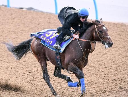 タスティエーラとダミアン・レーン騎手
