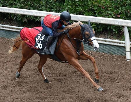 　ダイヤモンドノット