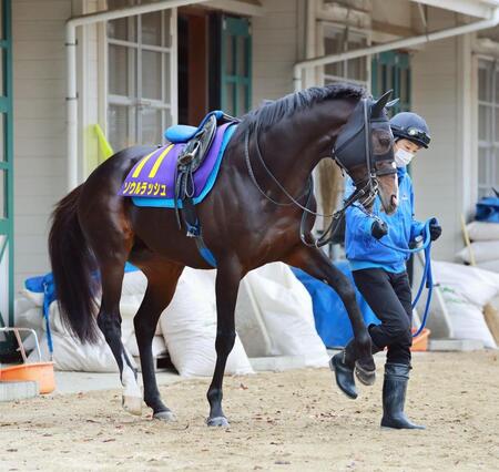 　ソウルラッシュ