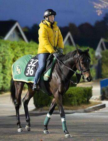 　好調上村厩舎が送り出すサトノセプター