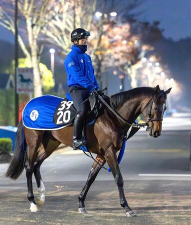 　初陣Ｖを狙う良血馬イベントホライゾン