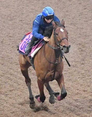 　高いポテンシャルを感じさせるゴディアーモ