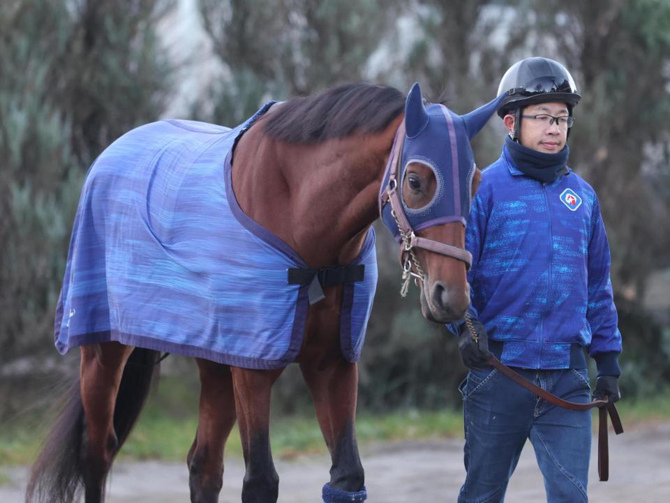 　運動するナルカミ